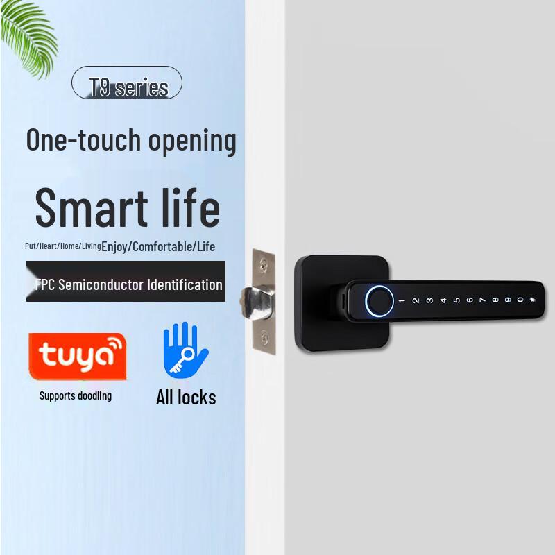 Zhouyue Hengsheng Y-Handle Smart Fingerprint Door Lock чёрный