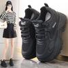 22 Years of Inner Height Increase, New Autumn Platform Dad Shoes, Mesh Sneakers