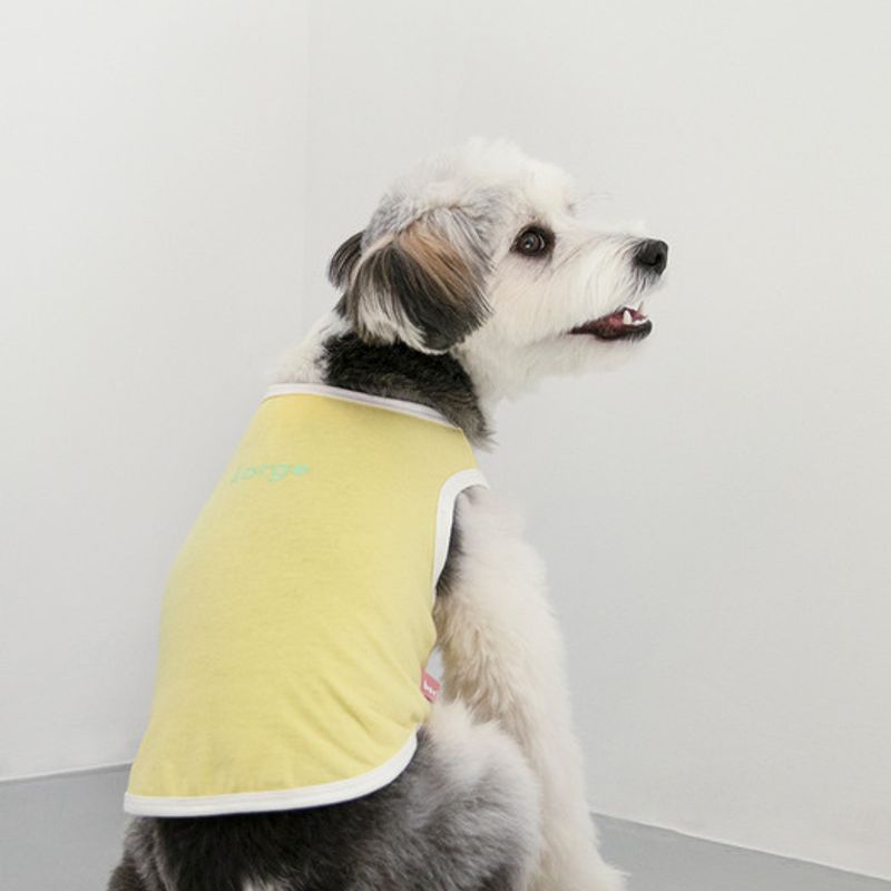 T-shirt taille bari pour toujours (jaune citron)