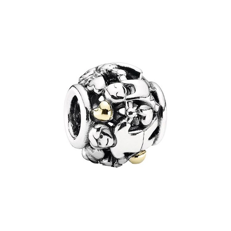 

Pandora Warm Family Matching Beads Unisex Jewelry 791040 Silver