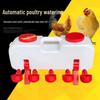 Automatic Chicken and Poultry Waterer with Feeder Trough