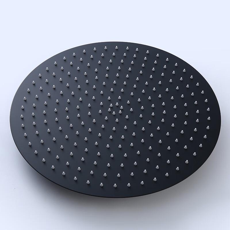 OEMG Stainless Steel Shower Head