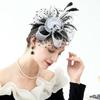 Fascinator Hat For Women Tea Party Headband Wedding Hair Clip Cocktail Party Mesh Flower Feathers Hair Clip Stylish Women Girls