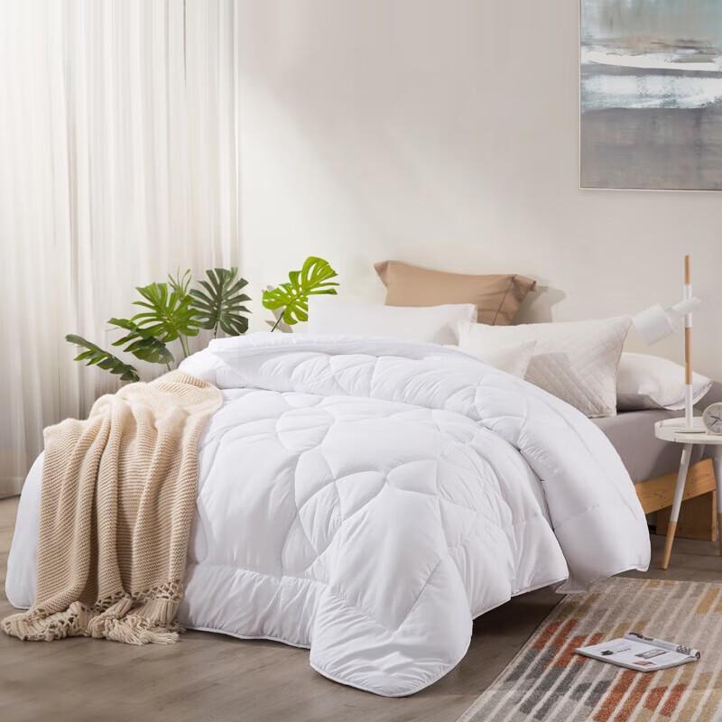 LOVO Anti-Mite All-Season Quilt