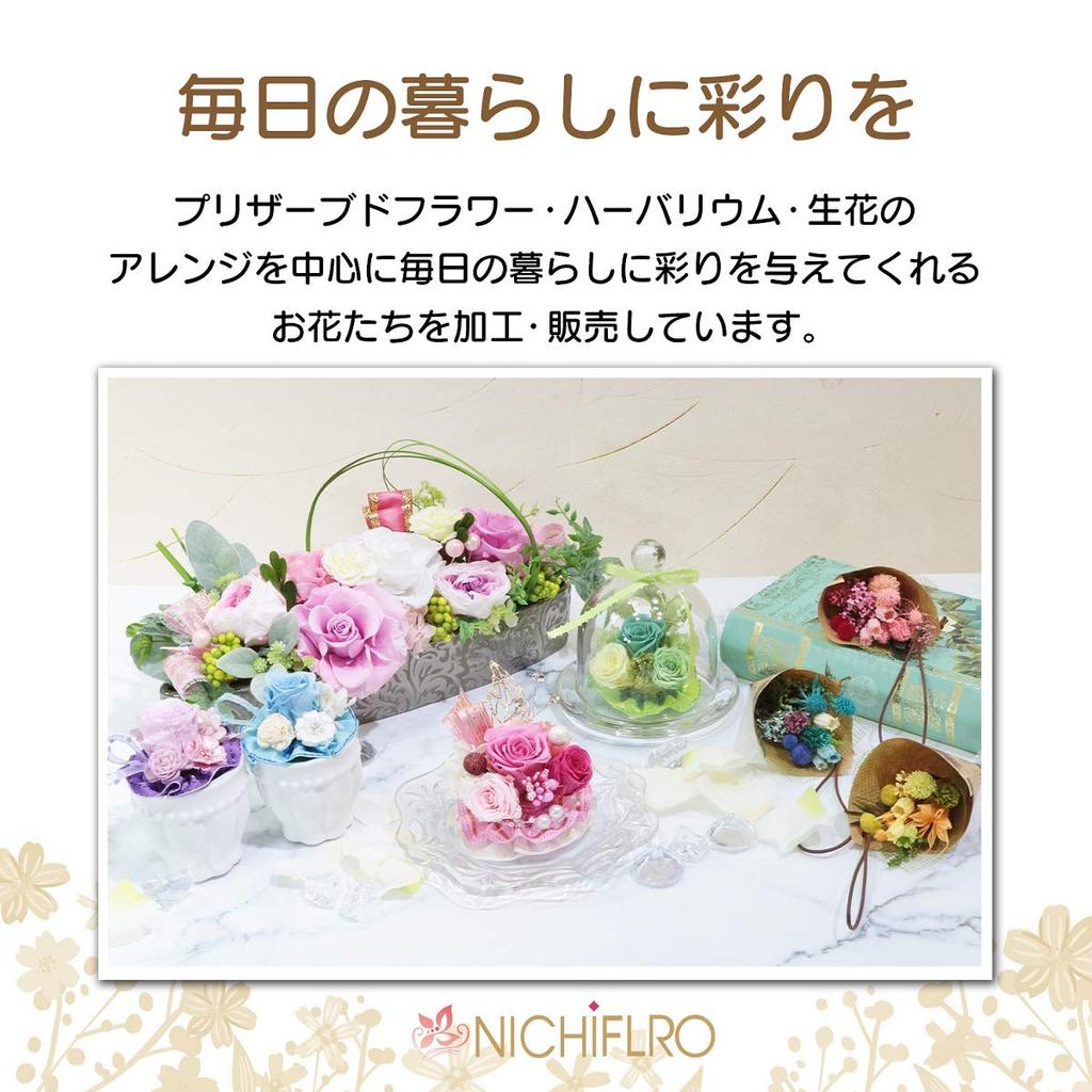 NICHIFLRO Preserved Flower Gift, Rose-Scented Incense, Mother's Day Gift, Long-Lasting Flowers, Made in Japan, Mini Glass Dome Incense Set (Rose)