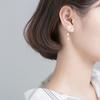 Simple Shell flower tassel earrings woman jewelry gift