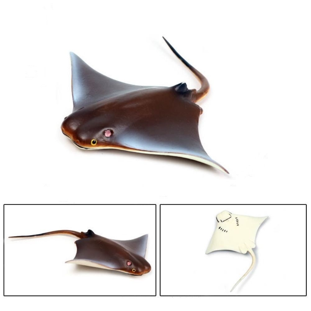 Fish Model Manta Ray Model Miniature Sea Life Action Figurines Ocean Animal Figures  Kids Toy