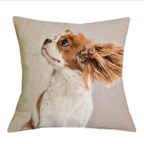 Cavalier King Charles Spaniel 45X45Cm Pillowcase Bedroom Sofa Home Decor