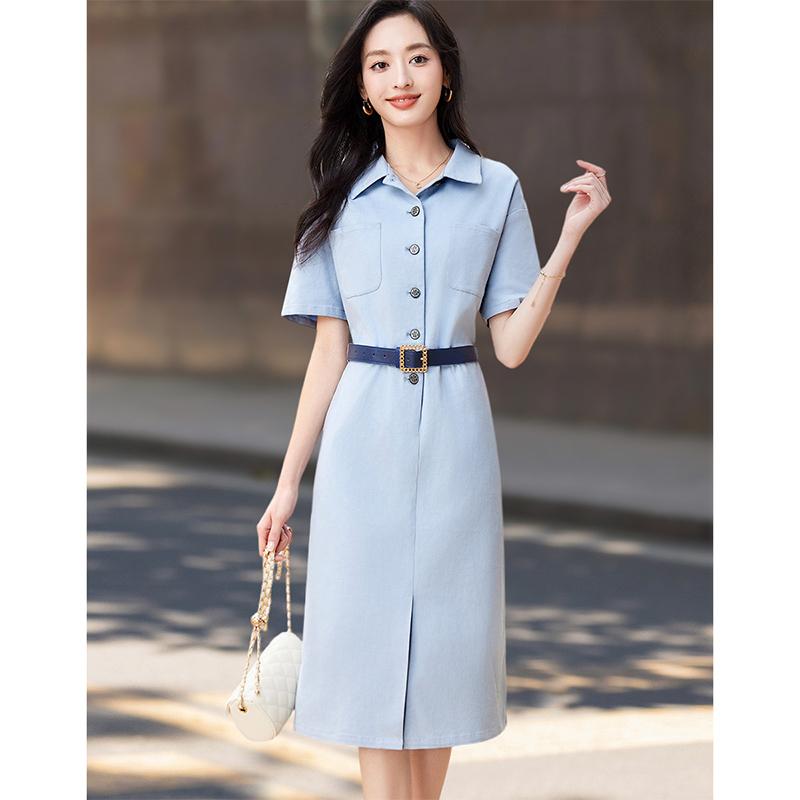 2025 Summer Simple and Fashionable Workwear with a Waist-Cinching A-Line Skirt, Age-Reducing Lapel, Commuting Mid-Length Dress for Women
