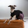Modische 4-beinige Baumwoll-Schlafanzüge für Whippet & Italienisches Windspiel, Verstellbarer Leichter Hundemantel für Windhunde Frühling Sommer