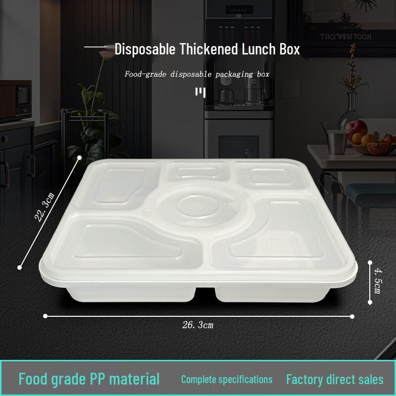 

Disposable Plastic Takeaway Food Container with Anti-Theft Buckle