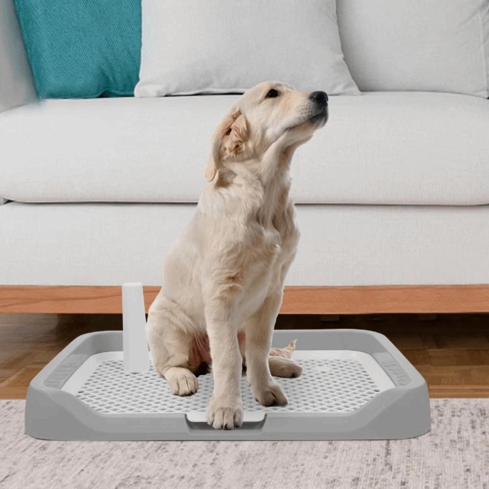 Removable Net Dog Training Toilet Splash-Proof Dog Potty Trainer Pet Potty Pads  Training