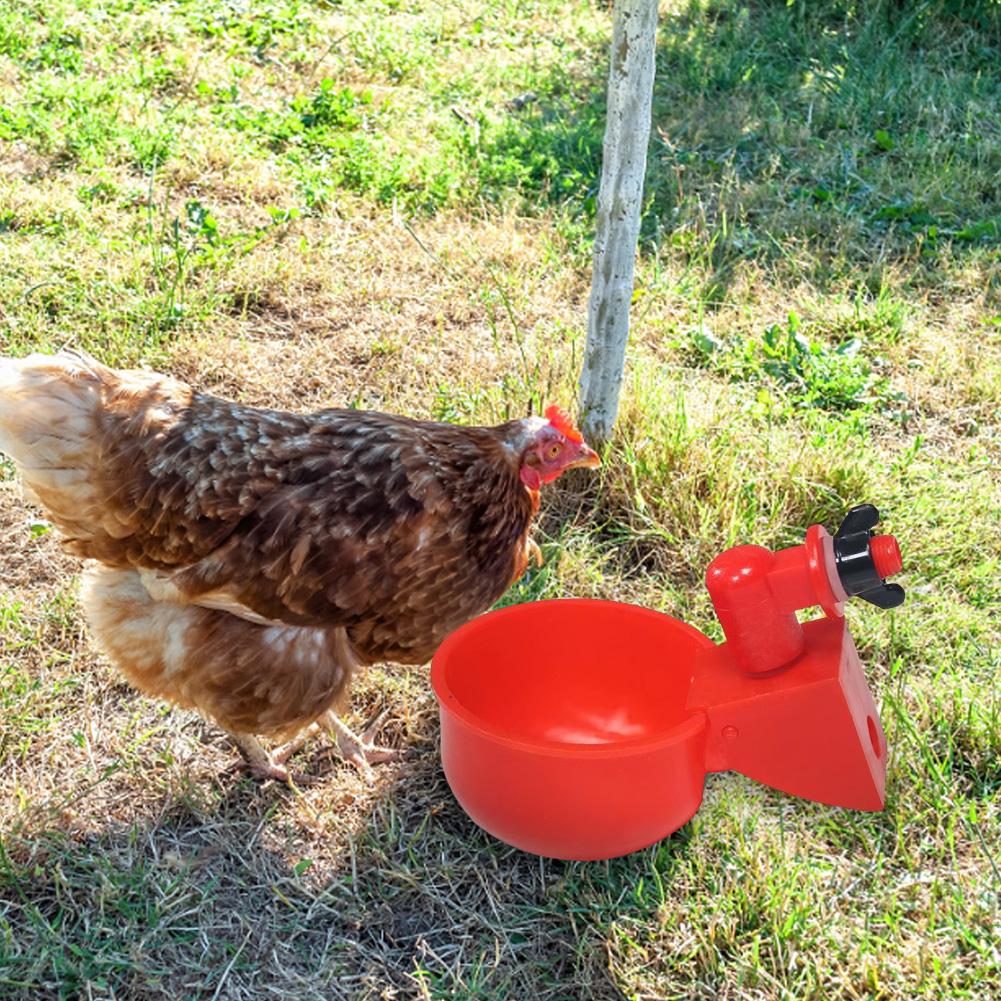 4Pcs Chicken Water Cup Versatile Automatic Drinking Cups Water Feeder for Chicken/Duck/Birds/Turkey/Rabbit
