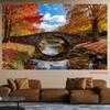2D Autumn Nature Backdrop Cloth Stone Bridge Fall Photography Background