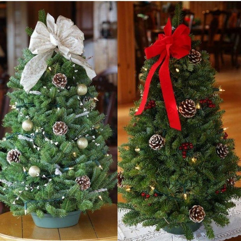 10/20 Stück Weihnachts-Kiefernzweige Weihnachtsdekoration Künstliche Falsche Pflanze Kiefernnadeln Kranz DIY Weihnachtsbaum Heimdeko Neujahr