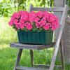 5-Head Design Artificial Geranium Flowers UV Resistant DIY Decoration Artificial Crabapple Blossom Silk Geraniums Flower