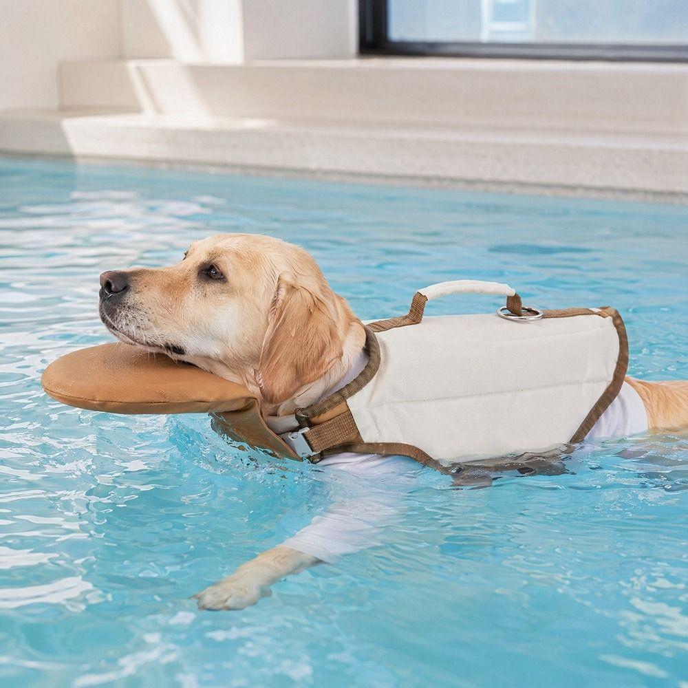 High Buoyancy Dog Life Jacket Breathable Dog Flotation Vest Dog Surfing Suit Dog Safety Vest Beach