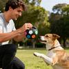 New Pet Soccer Toys Chewing and Squeaking Sounds Interactive Play Large Dogs Companion Toys Outdoor Training Pet Supplies