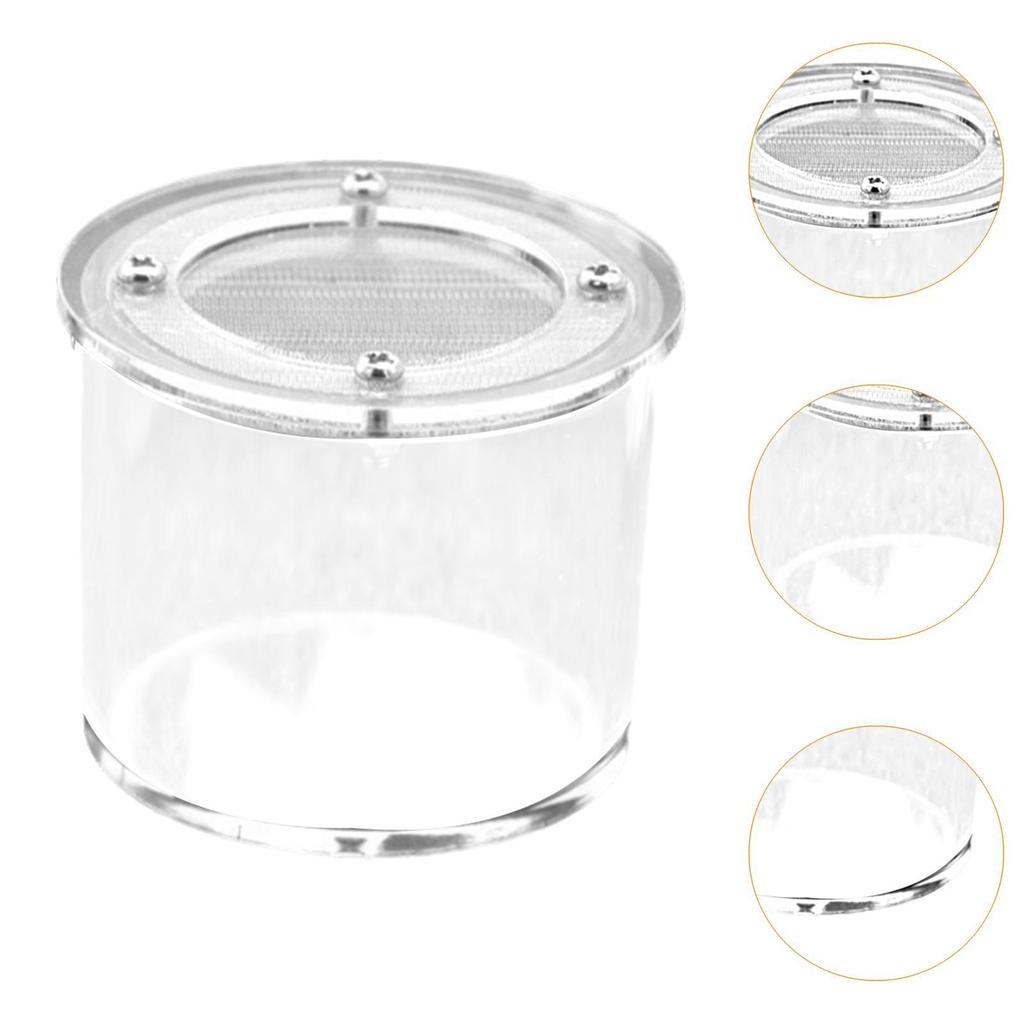 Reptile Breeding Box Spider Box Acrylic Sturdy Small Terrarium Breeding Tank Transparent Reptile Tank for Gecko Scorpions