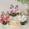 Multicolor Butterfly Orchid Artificial Flower Plastic Faux Moth Orchid Potted  Desktop Oranemnt