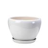 White Ceramic Orchid Pot, Large Elegant Design for Living Room