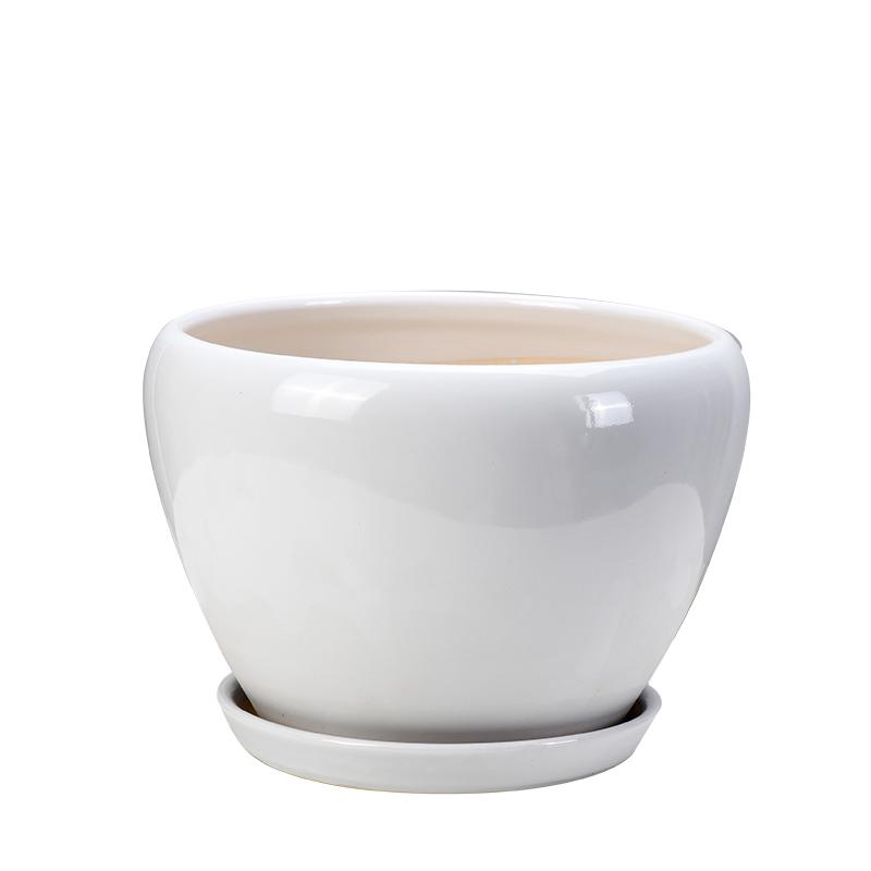 White Ceramic Orchid Pot, Large Elegant Design for Living Room