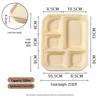 ZLIII Disposable Corn Starch Lunch Box
