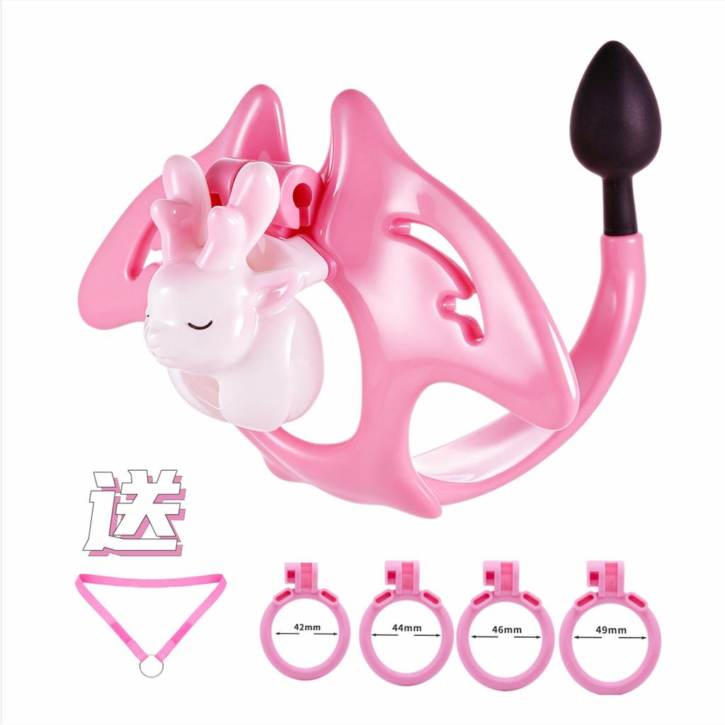 Male Succubus Board Sissy Chastity Cage Front Lock with Rear Anal Plug Genital Restraint Wearable Chastity Pants Sex Toy for Men