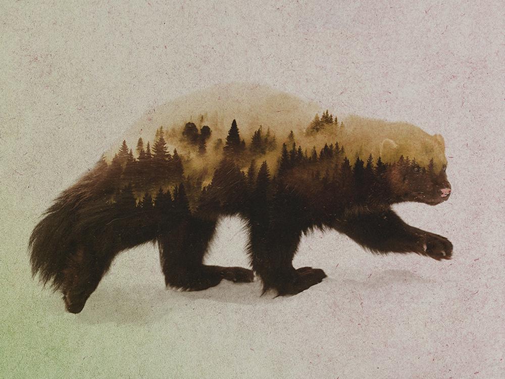 

DIY полная круглая алмазная живопись вышивка крестиком 3D животное мультфильм принцесса дома декоративное искусство алмазная живопись 5d алмазная живопись Square drill 25x35cm