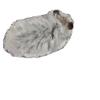 Coolybi Absorbent Rainbow Paper Pellets with Flower Scents for Hamster Bedding - Dust-Free Shavings and Landscaping Supplies