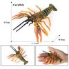 Oenux Ocean Animals Simulation Tiger Prawn Crayfish Shrimp Sea Life Model Figurines Action Figures Collection Toys For Kids Gift