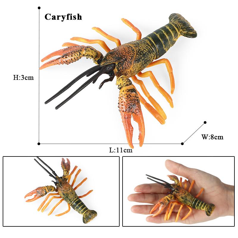 Oenux Ocean Animals Simulation Tiger Prawn Crayfish Shrimp Sea Life Model Figurines Action Figures Collection Toys For Kids Gift