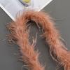 Strisce di Piume di Struzzo Colorate per Costumi da Ballo Fai-da-Te e Accessori