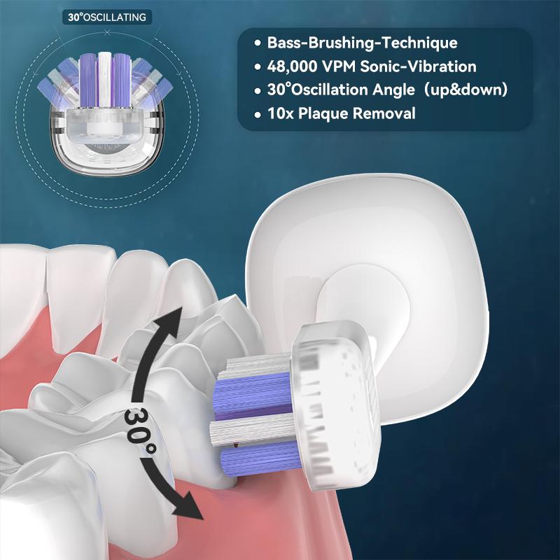 C11 Electric Toothbrush Sonic Sweeping Toothbrush 30 Scientific Swing 1 Brush Handle 2 Brush Head