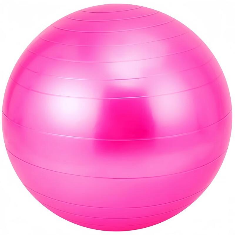 WEZHO Adult Fitness Yoga Ball