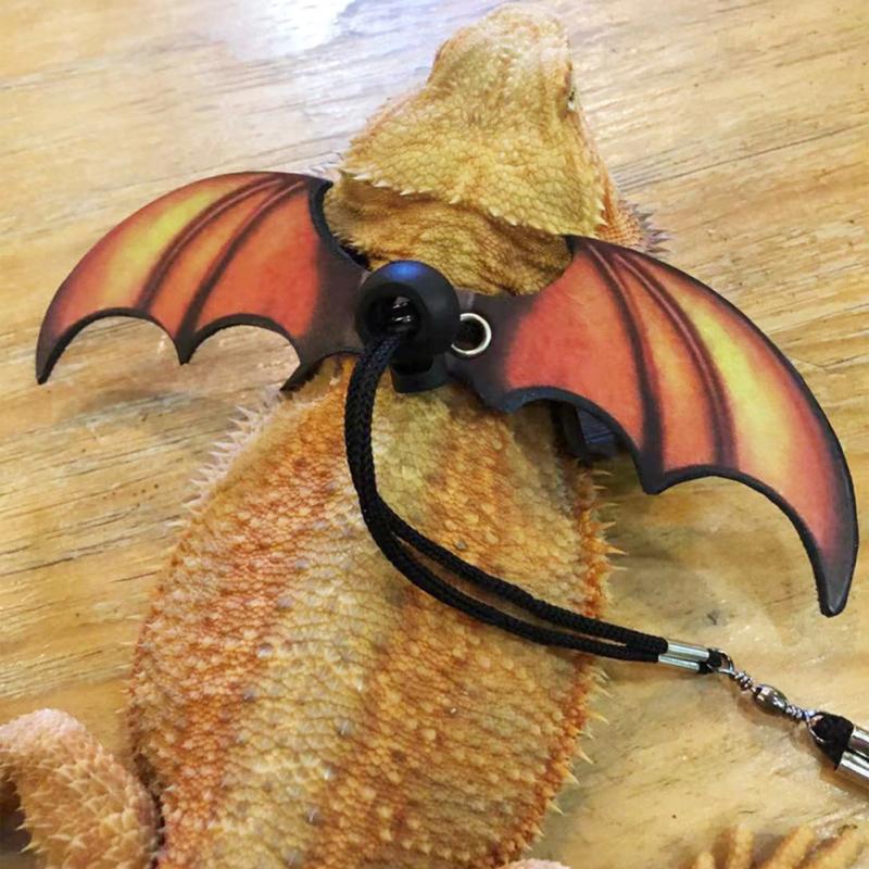 Leather Harness Leash Wing Design Adjustable Outing Walking Leash For Bearded Dragon Lizard Reptiles
