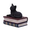 Figurine - NEMESIS NOW - Chat noir - 11.7 cm - Résine - Espace de rangement