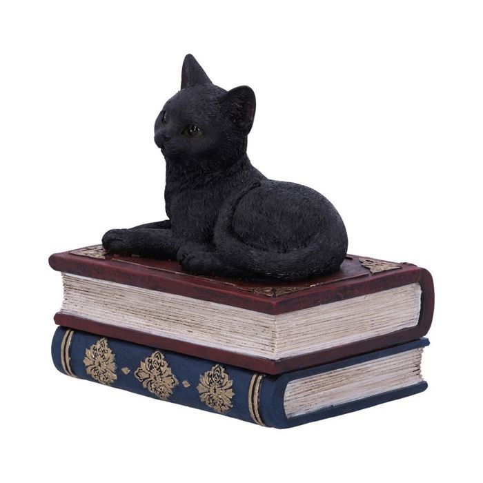 Figurine - NEMESIS NOW - Chat noir - 11.7 cm - Résine - Espace de rangement