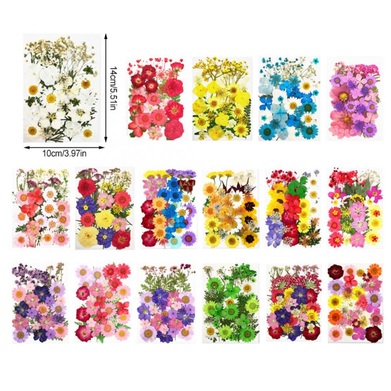 Trockenblumen Set, Echte Blumen Aufkleber, Gepresste Musteretiketten