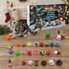 EelJoy 24-Day Cat Toy Advent Calendar: Interactive Surprise Play for Christmas Countdown