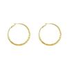 Earrings Twisted Plain Ring Earrings Women'S Simple Cold Wind Ear Acupuncture Commuting Advanced Sense Light Luxury Ear Jewelry
