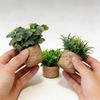 Set of 3 Mini Artificial Green Plants, Faux Shrubs with Woven Rattan Pots Small Tabletop Decor