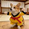 Comfortable Pet Taekwondo Costume Breathable Cat Cosplay Costume Pet Kung Fu Suit  Party Attire