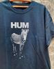 Collection Hum Band Astronaut Album T Shirt Full Size S-5XL Unisex T-Shirt
