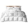 Ran Brand Premium Winter Duck Down Duvet