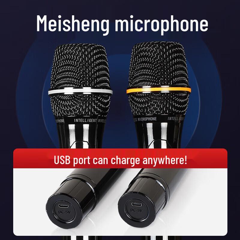 TEMEISHENG TA06 Portable KTV Speaker System with Screen CN Plug (adapter Included)