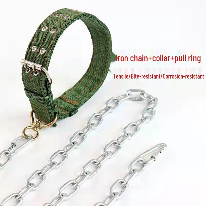 Bite-Resistant Rust-Proof Dog Leash and Chain Collar