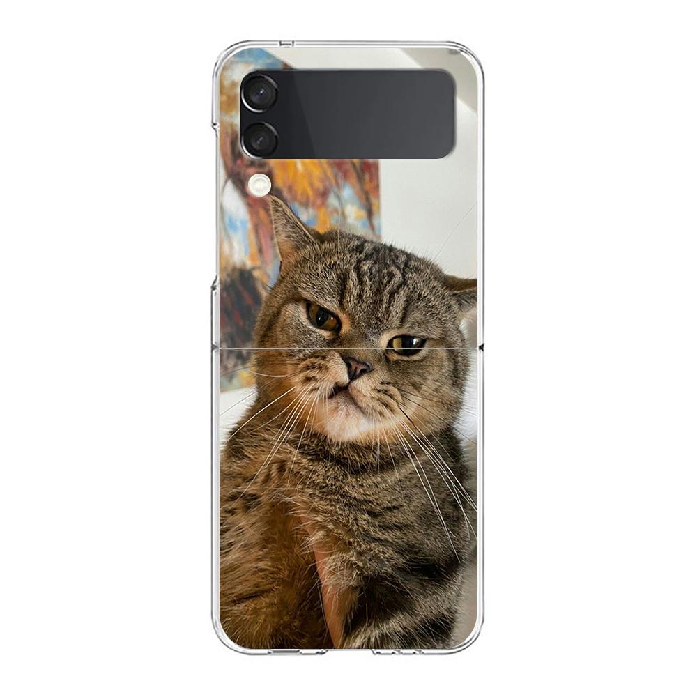 Transparent Phone Case For Samsung Galaxy Z Flip 3 4 5 6 7 Hard Folding PC Z Flip3 Flip4 Cover Funny Cartoon Korean Cat Couple