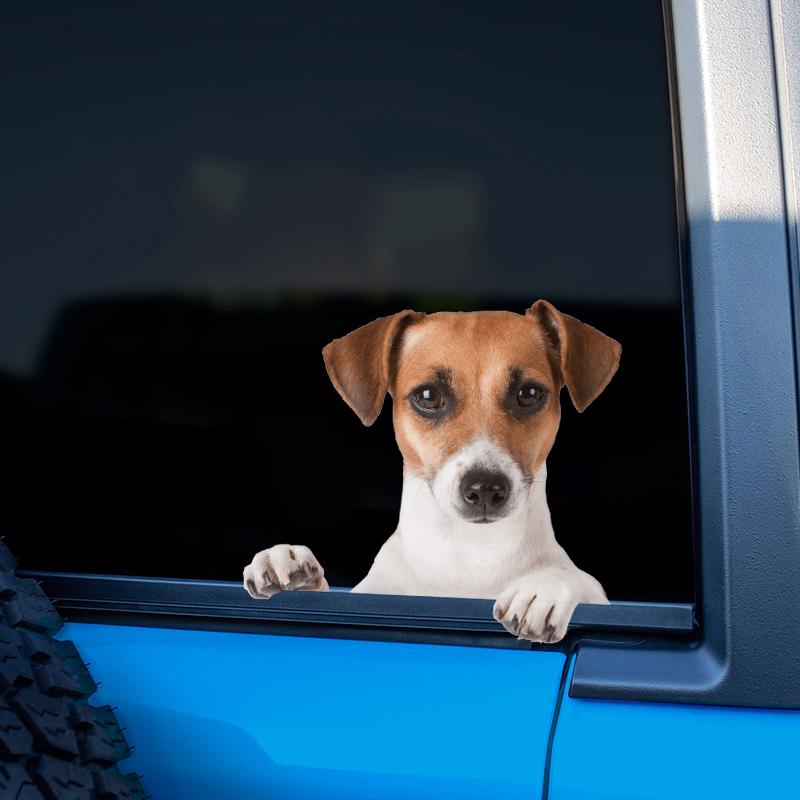 TM28# Funny Jack Russell Terrier Dog Motorcycle Bike Stickers Puppy Car Styling Decals