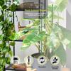 Plant Supports for Indoor Plants,  30cm Plant Stakes Support Sticks with Clips, Adjustable Monstera Support for Orchid Rose Flower
